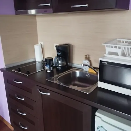 Eleonor Mountain Apartment Bansko